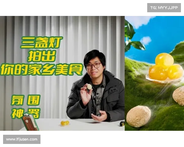 蜗牛之旅:探索珍馐美味寻宝攻略 蜗牛之旅:探索珍馐美味寻宝攻略